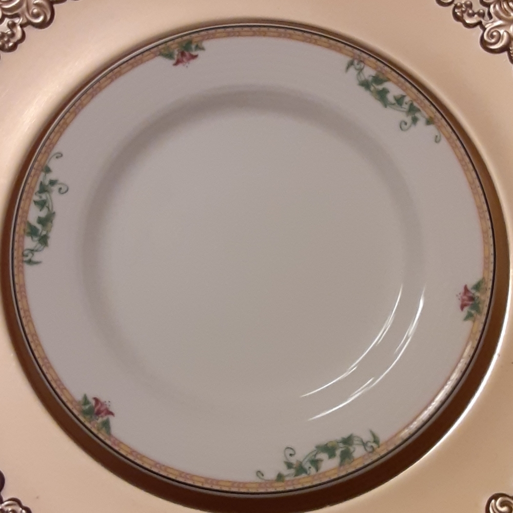 Villeroy & Boch Luxembourg Adrian salad plate 8.25" white ivy floral trim EUC …